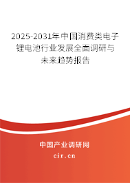 2025-2031年中國消費類電子鋰電池行業發展全面調研與未來趨勢報告