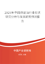 2025年中國頁巖油行業現狀研究分析與發展趨勢預測報告