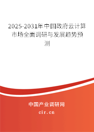 2025-2031年中國政府云計算市場全面調研與發展趨勢預測