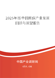 2025年版中國擔保產業發展回顧與展望報告