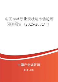 中國pvd行業(yè)現(xiàn)狀與市場前景預(yù)測報(bào)告（2025-2031年）