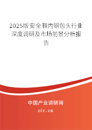 2025版安全鞋內鋼包頭行業深度調研及市場前景分析報告