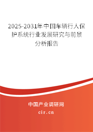 2025-2031年中國車輛行人保護系統行業發展研究與前景分析報告