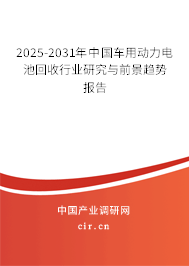 2025-2031年中國車用動力電池回收行業研究與前景趨勢報告