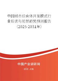 中國(guó)城市綜合體開(kāi)發(fā)模式行業(yè)現(xiàn)狀與前景趨勢(shì)預(yù)測(cè)報(bào)告（2025-2031年）