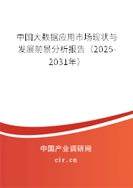 中國(guó)大數(shù)據(jù)應(yīng)用市場(chǎng)現(xiàn)狀與發(fā)展前景分析報(bào)告（2025-2031年）