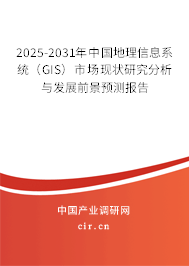 2025-2031年中國地理信息系統(tǒng)（GIS）市場現(xiàn)狀研究分析與發(fā)展前景預(yù)測報告