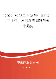 2022-2028年全球與中國電池回收行業發展深度調研與未來趨勢