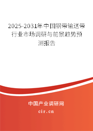 2025-2031年中國鋼帶輸送帶行業市場調研與前景趨勢預測報告