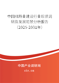 中國機場業建設行業現狀調研及發展前景分析報告（2025-2031年）