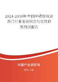 2024-2030年中國甲磺酸瑞波西汀行業發展研究與前景趨勢預測報告