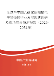 全球與中國六硼化鑭掃描電子顯微鏡行業(yè)發(fā)展現(xiàn)狀調(diào)研及市場前景預(yù)測報告（2025-2031年）