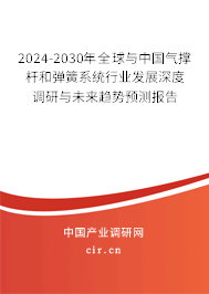 2024-2030年全球與中國氣撐桿和彈簧系統行業發展深度調研與未來趨勢預測報告
