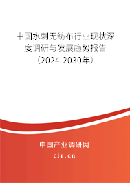 中國水刺無紡布行業現狀深度調研與發展趨勢報告（2024-2030年）