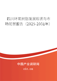 四川環氧樹脂發展現狀與市場前景報告（2025-2031年）