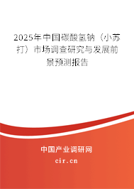 2025年中國碳酸氫鈉（小蘇打）市場調查研究與發(fā)展前景預測報告