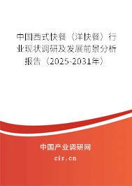 中國西式快餐（洋快餐）行業現狀調研及發展前景分析報告（2025-2031年）