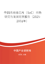中國系統級芯片（SoC）市場研究與發展前景報告（2025-2031年）