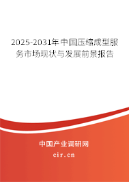 2025-2031年中國壓縮成型服務市場現狀與發展前景報告