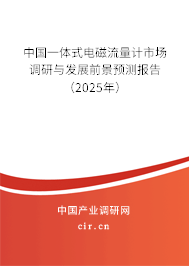 中國一體式電磁流量計市場調研與發展前景預測報告（2025年）