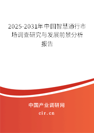 2025-2031年中國智慧通行市場調查研究與發展前景分析報告