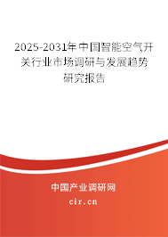 2025-2031年中國智能空氣開關(guān)行業(yè)市場調(diào)研與發(fā)展趨勢研究報告