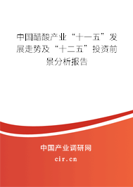 中國醋酸產業“十一五”發展走勢及“十二五”投資前景分析報告