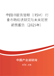 中國IT服務管理（ITSM）行業市場現狀研究與未來前景趨勢報告（2025年）