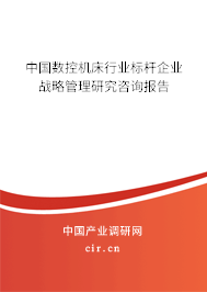 中國數控機床行業標桿企業戰略管理研究咨詢報告