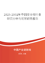 2025-2031年中國安全帽行業研究分析與前景趨勢報告