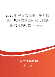 2025年中國安全生產中介服務市場深度調查研究與發展趨勢分析報告（下架）