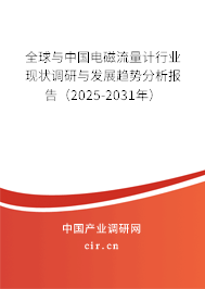 全球與中國電磁流量計行業現狀調研與發展趨勢分析報告（2025-2031年）