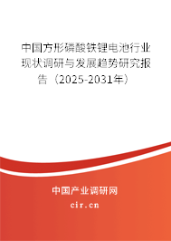 中國方形磷酸鐵鋰電池行業現狀調研與發展趨勢研究報告（2025-2031年）