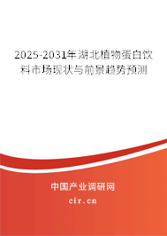 2025-2031年湖北植物蛋白飲料市場現狀與前景趨勢預測