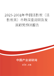 2025-2031年中國活性炭（活性炭黑）市場深度調研及發展趨勢預測報告