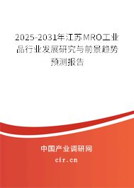 2025-2031年江蘇MRO工業品行業發展研究與前景趨勢預測報告
