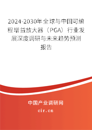 2024-2030年全球與中國可編程增益放大器（PGA）行業(yè)發(fā)展深度調(diào)研與未來趨勢預(yù)測報(bào)告