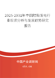 （最新）中國垃圾發電行業現狀分析與發展趨勢研究報告