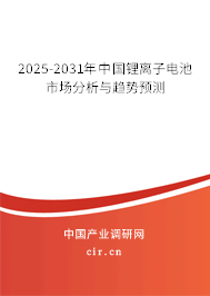 2025-2031年中國鋰離子電池市場分析與趨勢預測