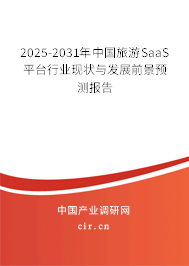 2025-2031年中國旅游SaaS平臺行業現狀與發展前景預測報告