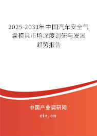 2025-2031年中國汽車安全氣囊模具市場深度調研與發展趨勢報告
