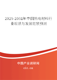 2025-2031年中國熱電材料行業現狀與發展前景預測