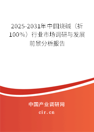 2025-2031年中國燒堿（折100％）行業市場調研與發展前景分析報告