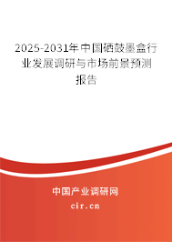 2025-2031年中國硒鼓墨盒行業發展調研與市場前景預測報告