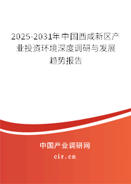 2025-2031年中國西咸新區產業投資環境深度調研與發展趨勢報告