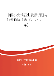 中國小火鍋行業發展調研與前景趨勢報告（2025-2031年）