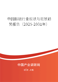 中國振鏡行業現狀與前景趨勢報告（2025-2031年）