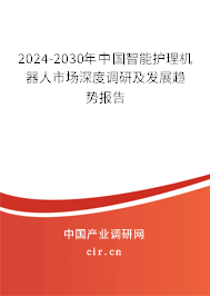 2024-2030年中國智能護理機器人市場深度調研及發展趨勢報告