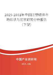 2025-2031年中國注塑磁體市場現(xiàn)狀與前景趨勢分析報(bào)告（下架）