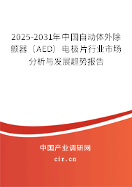 2025-2031年中國自動體外除顫器（AED）電極片行業市場分析與發展趨勢報告